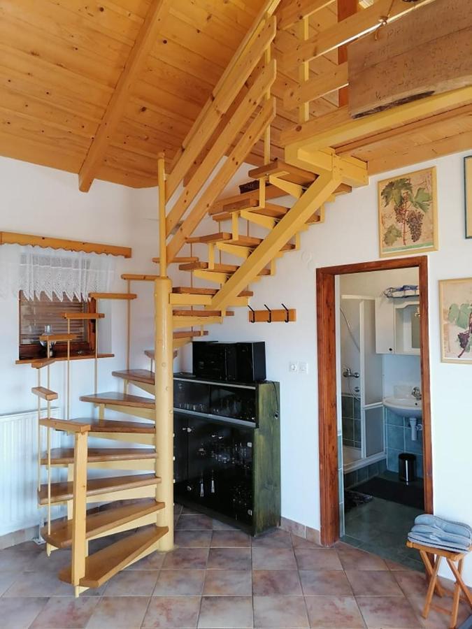 Pesnica pri Mariboru Apartma Pusa المظهر الخارجي الصورة