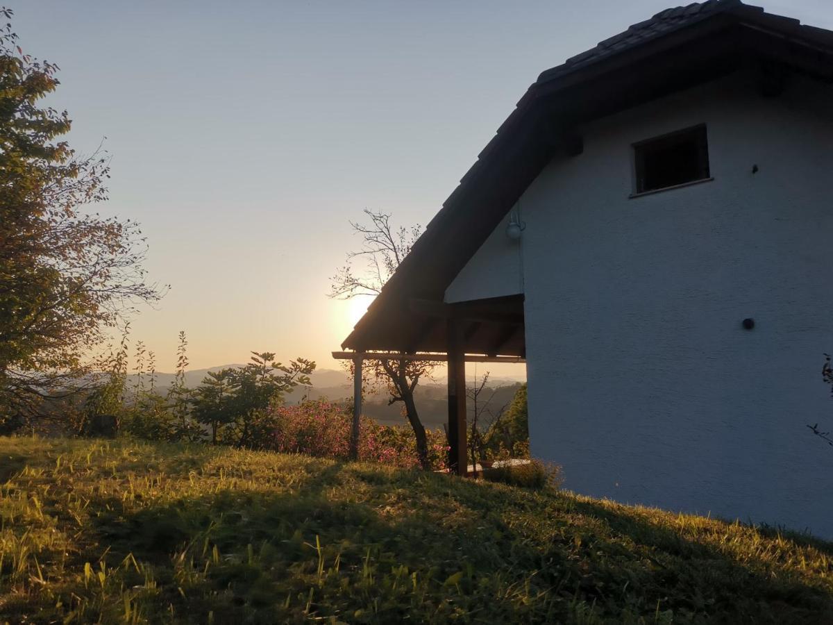 Pesnica pri Mariboru Apartma Pusa المظهر الخارجي الصورة